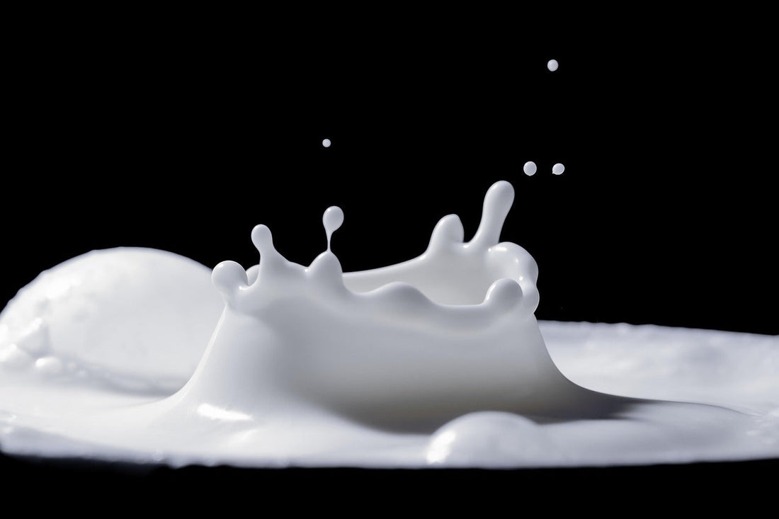 The Great Tea Debate: Milk First or Tea First?